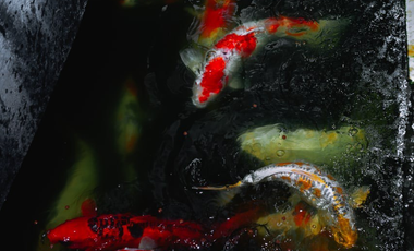 FOR SALE House & Lot located at St. Francis Subd., Brgy. Pandayan, Meycauayan, Bulacan