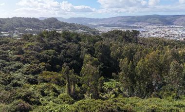 Terreno ideal para un proyecto inmobiliario en Lebu 77.853m2