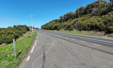 Terreno ideal para un proyecto inmobiliario en Lebu 77.853m2