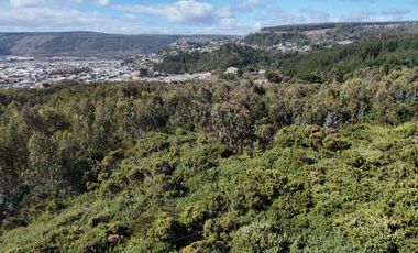 Terreno ideal para un proyecto inmobiliario en Lebu 77.853m2