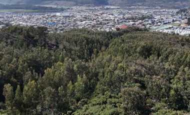 Terreno ideal para un proyecto inmobiliario en Lebu 77.853m2