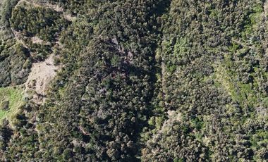 Terreno ideal para un proyecto inmobiliario en Lebu 77.853m2