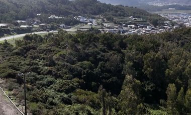 Terreno ideal para un proyecto inmobiliario en Lebu 77.853m2