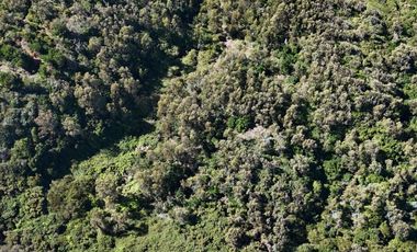 Terreno ideal para un proyecto inmobiliario en Lebu 77.853m2