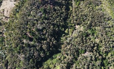 Terreno ideal para un proyecto inmobiliario en Lebu 77.853m2