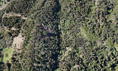 Terreno ideal para un proyecto inmobiliario en Lebu 77.853m2