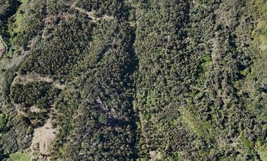 Terreno ideal para un proyecto inmobiliario en Lebu 77.853m2