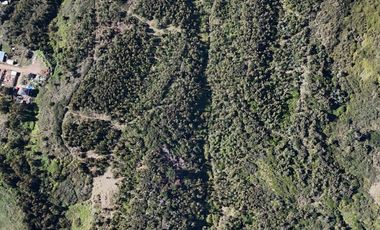 Terreno ideal para un proyecto inmobiliario en Lebu 77.853m2