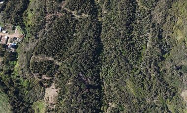 Terreno ideal para un proyecto inmobiliario en Lebu 77.853m2