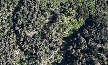 Terreno ideal para un proyecto inmobiliario en Lebu 77.853m2