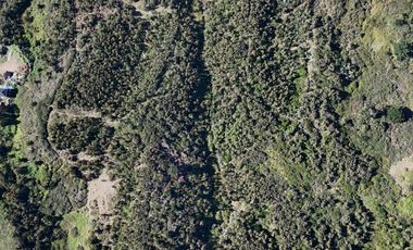 Terreno ideal para un proyecto inmobiliario en Lebu 77.853m2