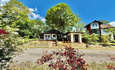 Single house for sale, Khao Yai   Size 126 sqw. living space 300 sq.m.