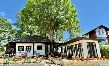 Single house for sale, Khao Yai   Size 126 sqw. living space 300 sq.m.