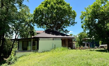 Single house for sale, Khao Yai   Size 126 sqw. living space 300 sq.m.