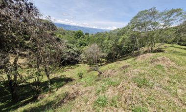 Lote En San Jerónimo, V. De Loma Hermosa | Escritura Lista En La Zona +TOP y Segura Del Occidente Antioqueño