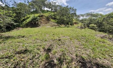 Lote En San Jerónimo, V. De Loma Hermosa | Escritura Lista En La Zona +TOP y Segura Del Occidente Antioqueño