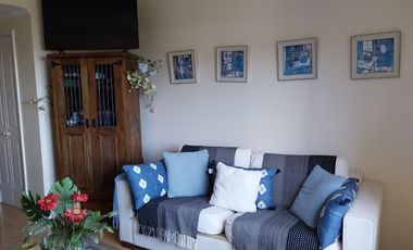 Pucón, venta atractivo departamento, central excelente ubicación