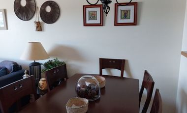 Pucón, venta atractivo departamento, central excelente ubicación