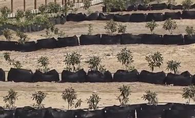 VENTA DE LOTES DE CAMPO EN CONDOMINIO DE ASIA/INSCRIPCIÓN REGISTRAL/DESDE 300M2/ US$29,000