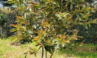 Hermosa Quinta de Venta En Tabacundo. Urbanización cerrada.