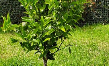 Hermosa Quinta de Venta En Tabacundo. Urbanización cerrada.