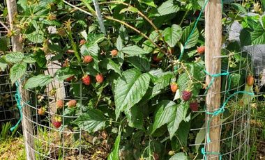 Hermosa Quinta de Venta En Tabacundo. Urbanización cerrada.