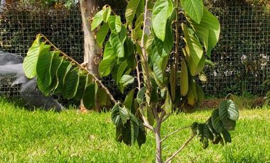 Hermosa Quinta de Venta En Tabacundo. Urbanización cerrada.