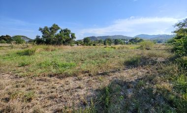 1-0-2.2 Rai | Wow! Must Sell Quickly!  Half Price of Neighboring Land Plots!