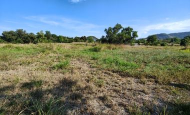 1-0-2.2 Rai | Wow! Must Sell Quickly!  Half Price of Neighboring Land Plots!