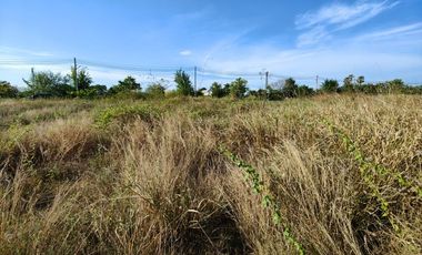 1-0-2.2 Rai | Wow! Must Sell Quickly!  Half Price of Neighboring Land Plots!
