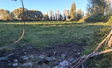 Hermoso Campo
