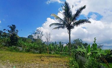 BEAUTIFUL LAND FOR WITH RICE FIELDS VIEW - NEAR SIDAN DAM - UBUD - GIANYAR - BALI
