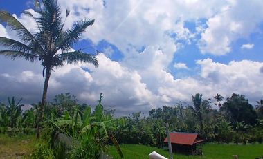 BEAUTIFUL LAND FOR WITH RICE FIELDS VIEW - NEAR SIDAN DAM - UBUD - GIANYAR - BALI