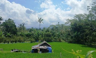 BEAUTIFUL LAND FOR WITH RICE FIELDS VIEW - NEAR SIDAN DAM - UBUD - GIANYAR - BALI