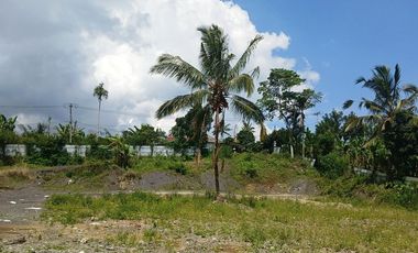 BEAUTIFUL LAND FOR WITH RICE FIELDS VIEW - NEAR SIDAN DAM - UBUD - GIANYAR - BALI