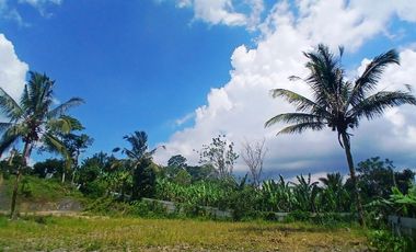 BEAUTIFUL LAND FOR WITH RICE FIELDS VIEW - NEAR SIDAN DAM - UBUD - GIANYAR - BALI