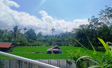 BEAUTIFUL LAND FOR WITH RICE FIELDS VIEW - NEAR SIDAN DAM - UBUD - GIANYAR - BALI