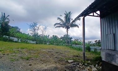 BEAUTIFUL LAND FOR WITH RICE FIELDS VIEW - NEAR SIDAN DAM - UBUD - GIANYAR - BALI