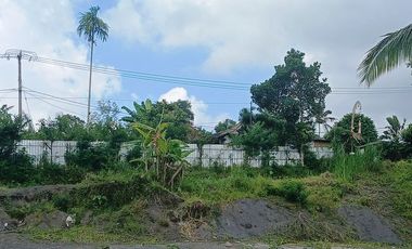 BEAUTIFUL LAND FOR WITH RICE FIELDS VIEW - NEAR SIDAN DAM - UBUD - GIANYAR - BALI