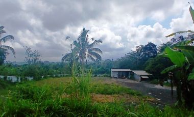 BEAUTIFUL LAND FOR WITH RICE FIELDS VIEW - NEAR SIDAN DAM - UBUD - GIANYAR - BALI