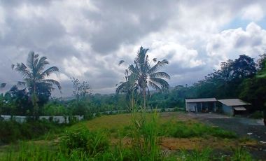 BEAUTIFUL LAND FOR WITH RICE FIELDS VIEW - NEAR SIDAN DAM - UBUD - GIANYAR - BALI