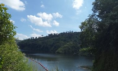 BEAUTIFUL LAND FOR WITH RICE FIELDS VIEW - NEAR SIDAN DAM - UBUD - GIANYAR - BALI