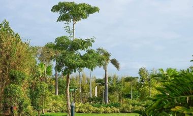 The Resale House for Sale in Solen Residences, Santa Rosa Laguna