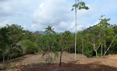 Vendo Vereda Ruitoque, sector tres esquinas, amplio lote -AMB