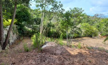 Vendo Vereda Ruitoque, sector tres esquinas, amplio lote -AMB