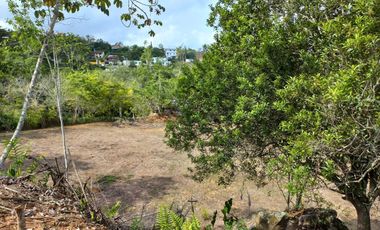 Vendo Vereda Ruitoque, sector tres esquinas, amplio lote -AMB