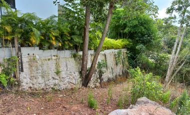 Vendo Vereda Ruitoque, sector tres esquinas, amplio lote -AMB