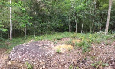 Vendo Vereda Ruitoque, sector tres esquinas, amplio lote -AMB