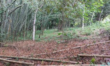 Vendo Vereda Ruitoque, sector tres esquinas, amplio lote -AMB