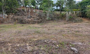 Vendo Vereda Ruitoque, sector tres esquinas, amplio lote -AMB